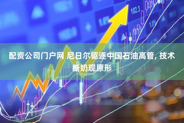 配资公司门户网 尼日尔驱逐中国石油高管, 技术断奶现原形