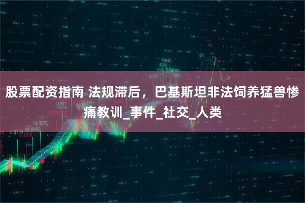 股票配资指南 法规滞后，巴基斯坦非法饲养猛兽惨痛教训_事件_社交_人类